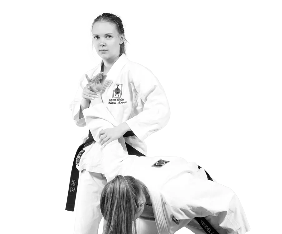 Lidingö Ju-jutsuklubb — kampsport-studio i Lidingö, Stockholm — bild 2