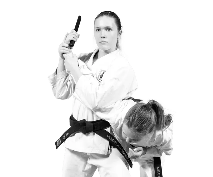 Lidingö Ju-jutsuklubb — martial arts-studio in Lidingö, Stockholm — 3