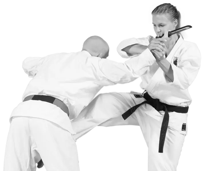 Lidingö Ju-jutsuklubb — martial arts-studio in Stockholm — 4