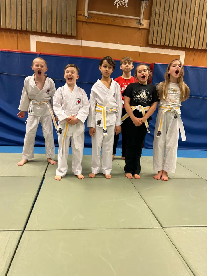 Lidingö Ju-jutsuklubb — Kampsport i Lidingö, Stockholm