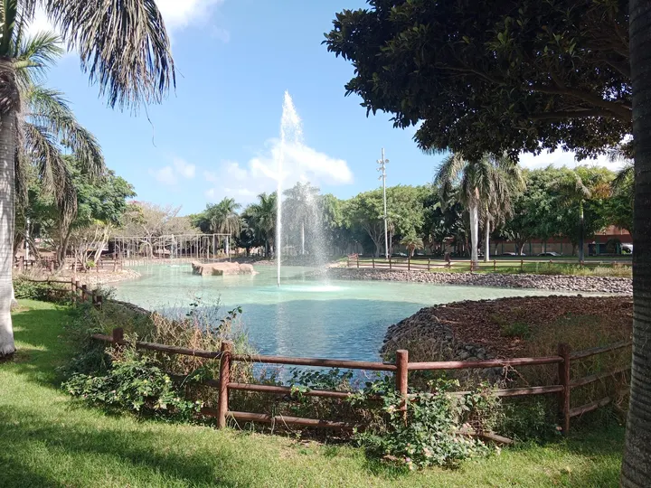 Rocódromo del Parque Juan Pablo II — Escalada en Parque Central, Las Palmas de Gran Canaria