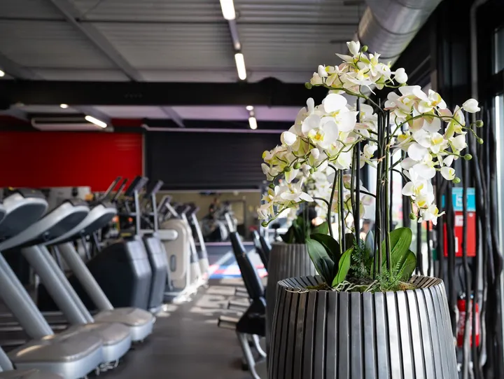 ActiLife — salle de fitness-studio à Blotzheim — 5