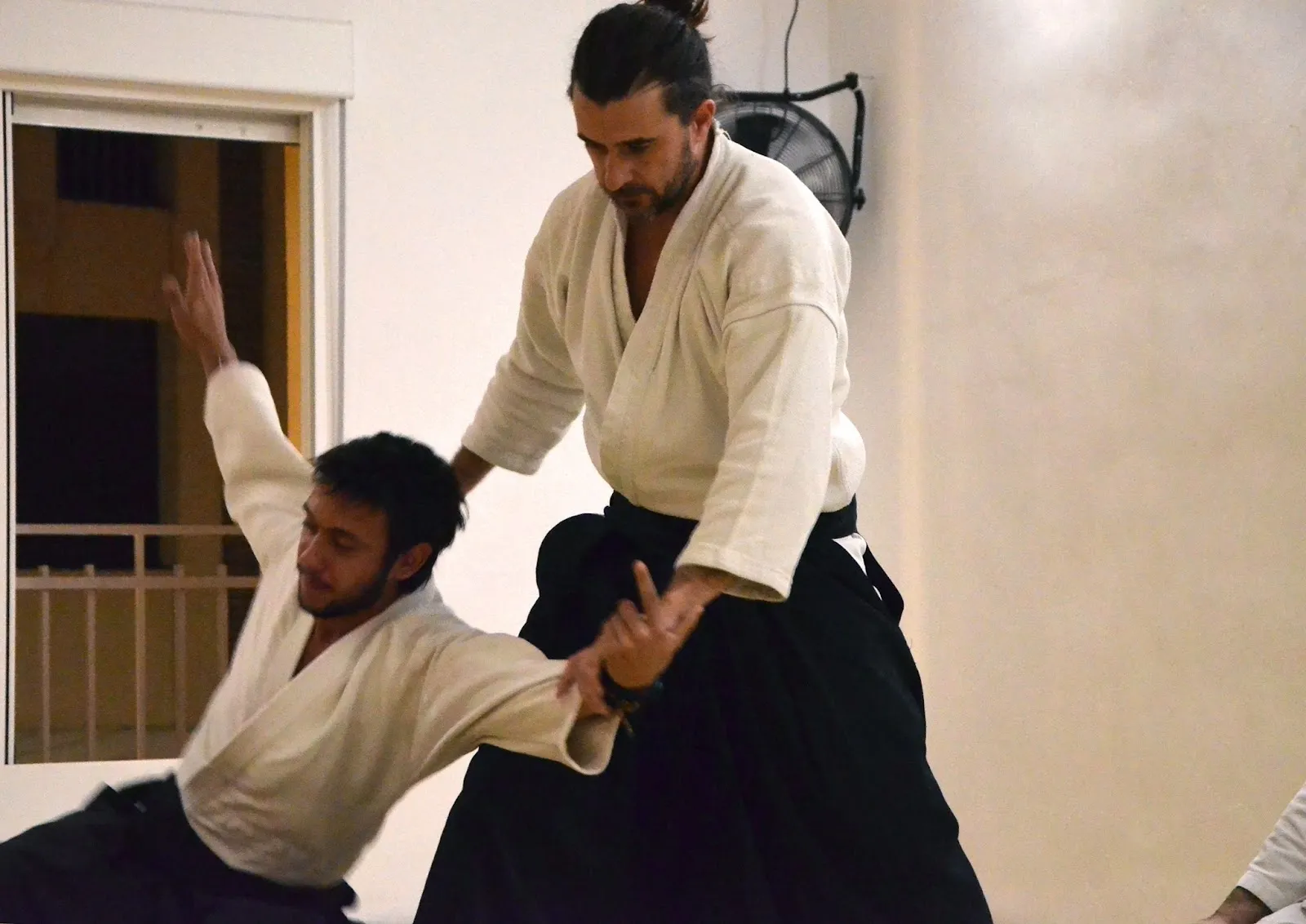 Dojo Takezo — artes marciales-studio en Jaén — 4