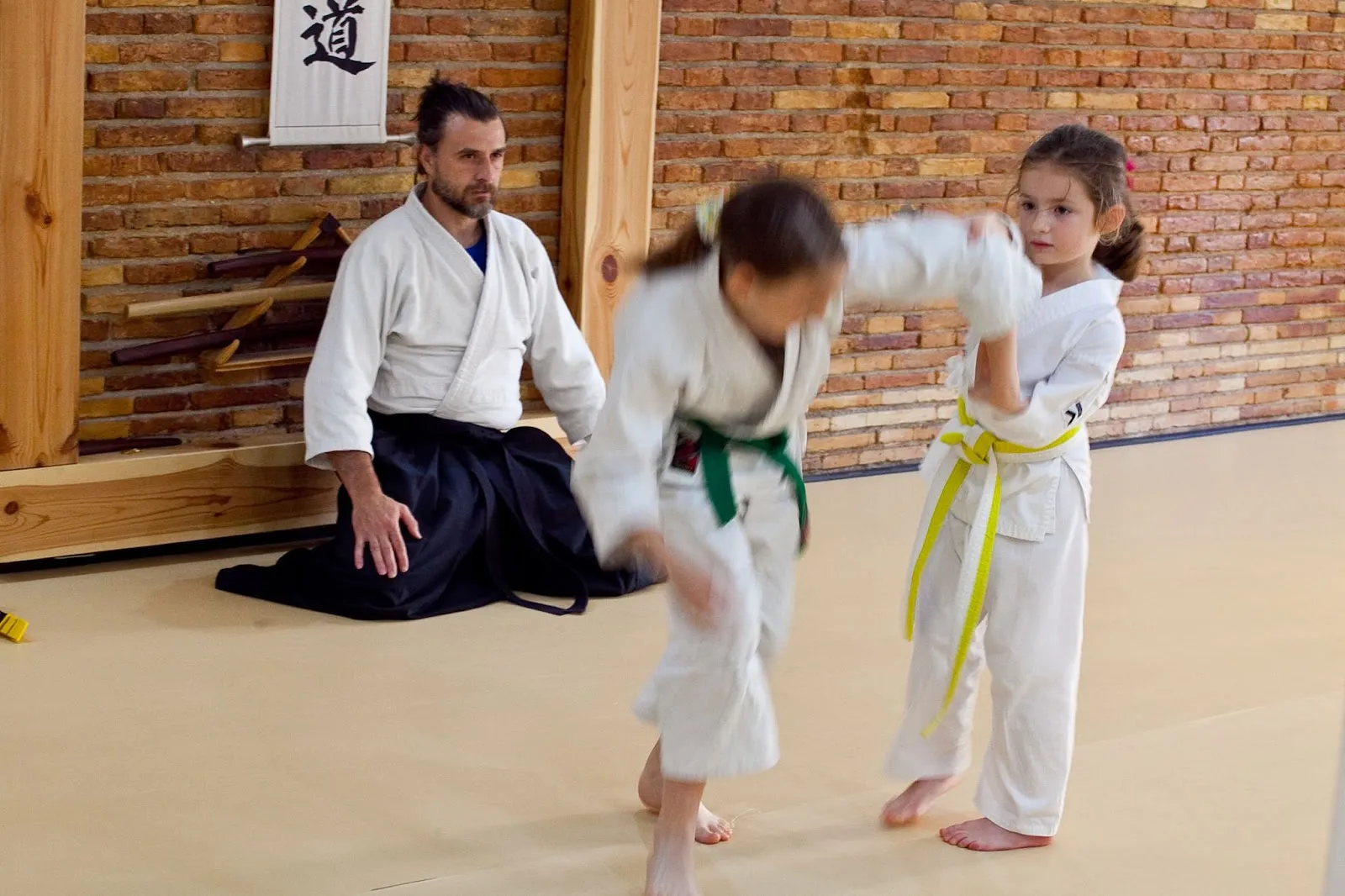 Dojo Takezo — artes marciales-studio en Jaén — 5