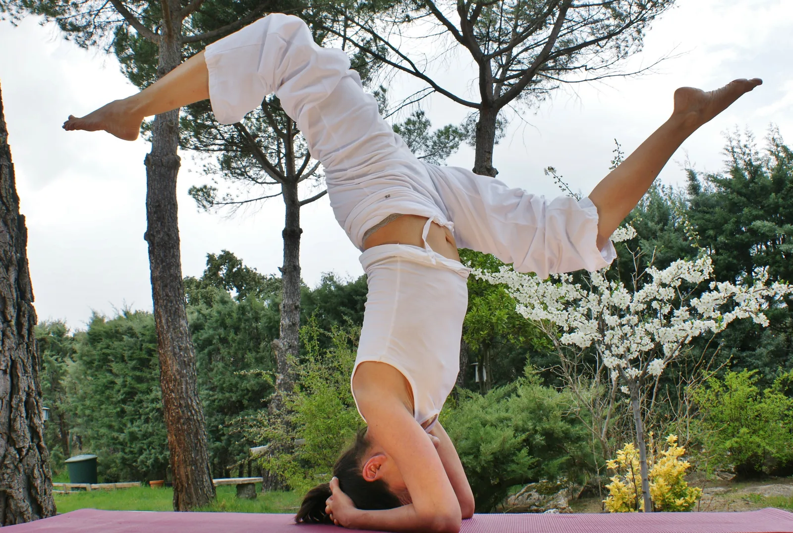 Centro De Yoga Y Ayurveda. Do Ananda Yoga — yoga-studio en La Estación — 2