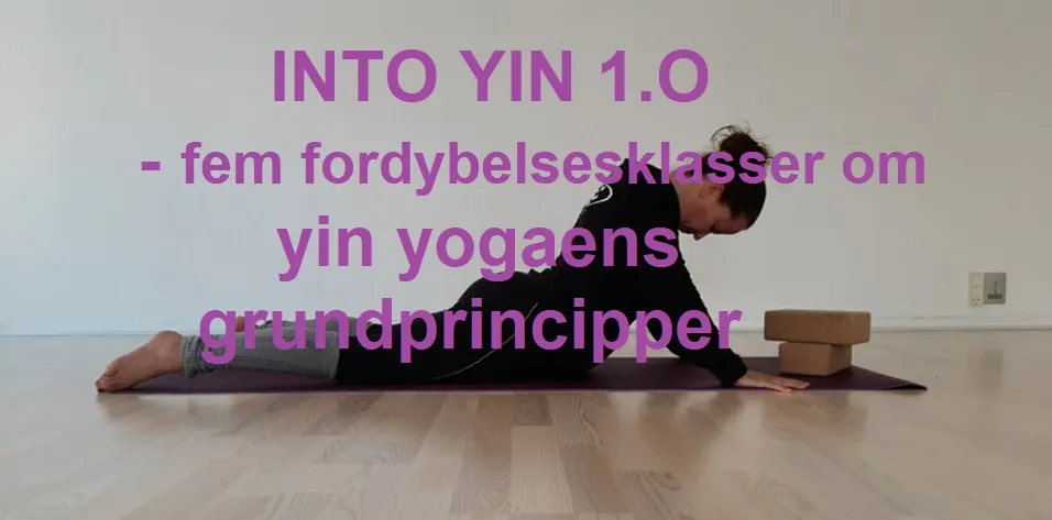 Yin & Yoga — yoga-studio i Kerteminde — bild 2