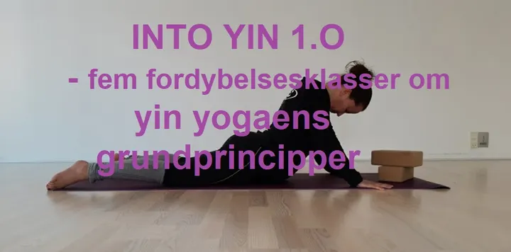 Yin & Yoga — yoga-studio i Kerteminde — 2