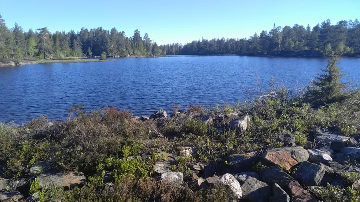 Fredheim Livsstilssenter — wellness-studio i Sandsværmoen, Kongsberg — 2