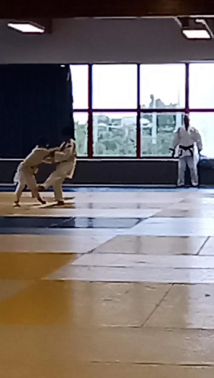 smoc judo jujitsu taïso — arts martiaux-studio à Saint-Jean-de-Braye — 3