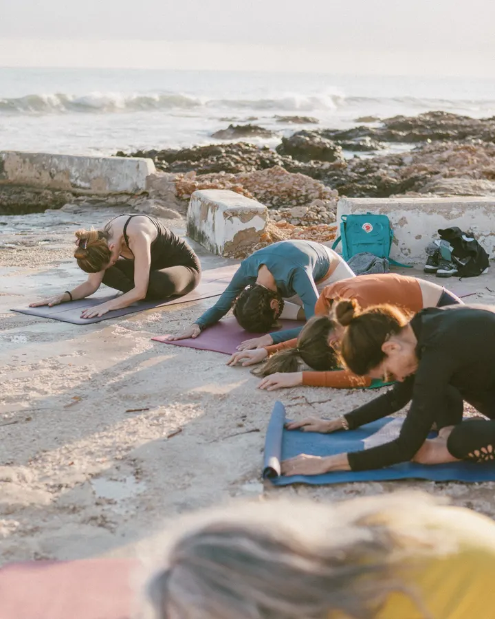 Yoga Jungle — yoga-studio en el Pla del Remei, Valencia — 2