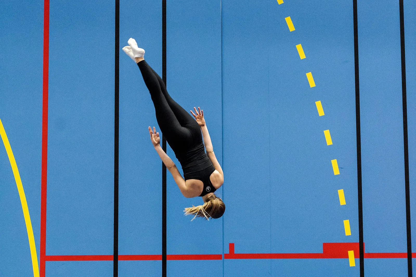 Gymnastikförbundet Öst — träningsstudio-studio i Stockholm — bild 6