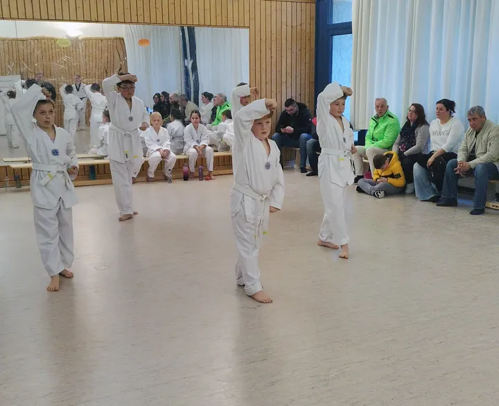 Taekwondo & Budo Team Leipzig e.V. — kampfsport-studio in Paunsdorf, Leipzig — 2