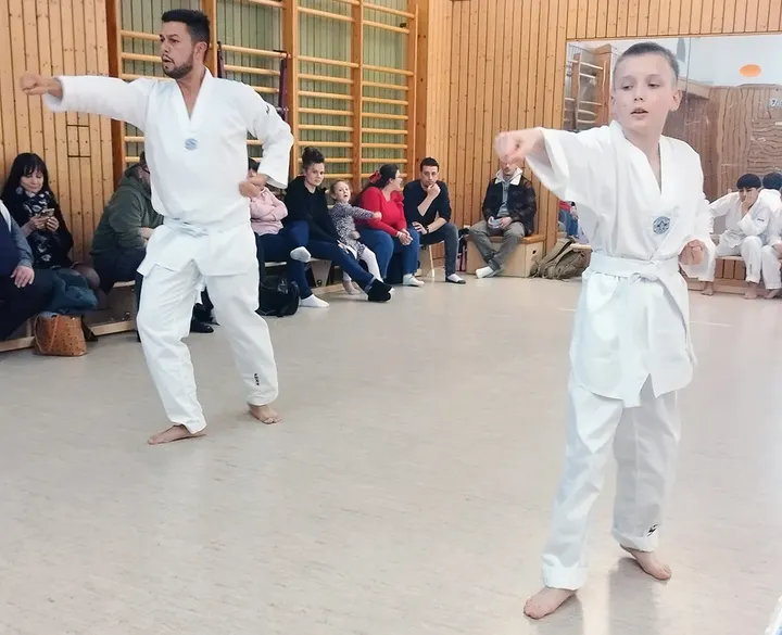 Taekwondo & Budo Team Leipzig e.V. — kampfsport-studio in Paunsdorf, Leipzig — 3