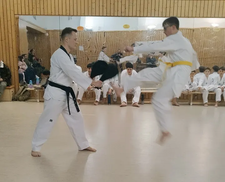 Taekwondo & Budo Team Leipzig e.V. — kampfsport-studio in Leipzig — 3