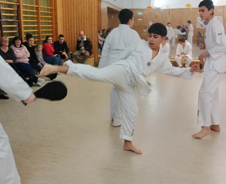 Taekwondo & Budo Team Leipzig e.V. — kampfsport-studio in Leipzig — 4