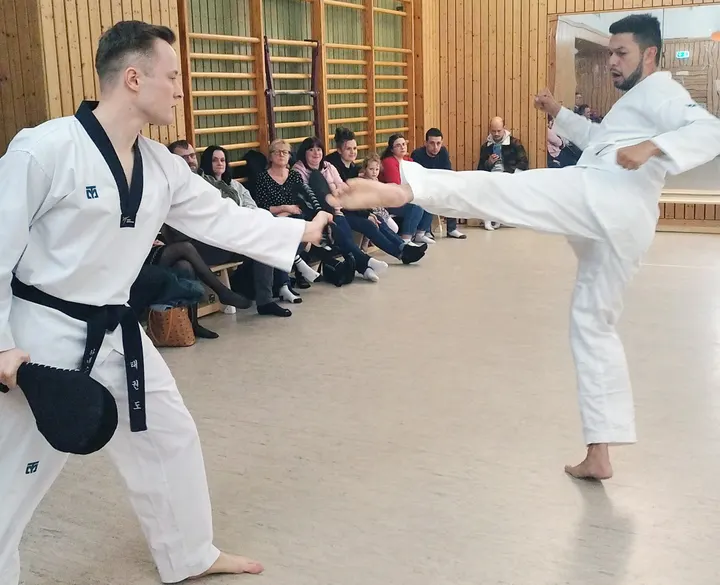 Taekwondo & Budo Team Leipzig e.V. — kampfsport-studio in Leipzig — 6