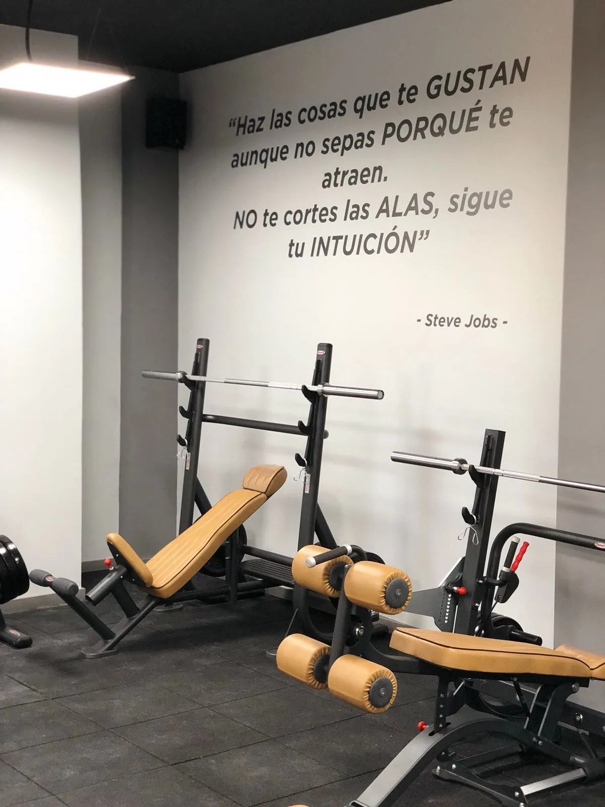 Wings Fitness Lounge — estudio de fitness-studio en Lloma Llarga — 5