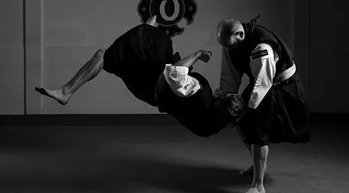 Shorinji Kempo Göteborg — kampsport-studio i Redbergslid, Göteborg — 2