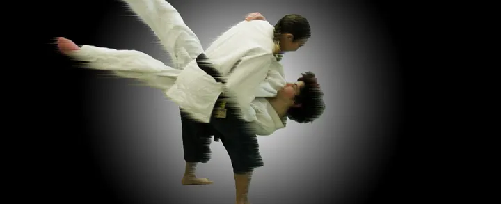 Ju Jitsu Team Bologna — BJJ a Fossolo, Bologna
