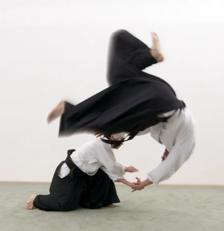 Aikido Zen Dojo — kampfsport-studio in Zellerau, Würzburg — 3