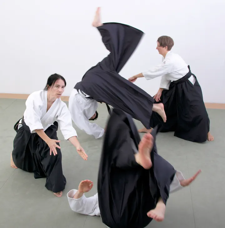 Aikido Zen Dojo — kampfsport-studio in Würzburg — 3