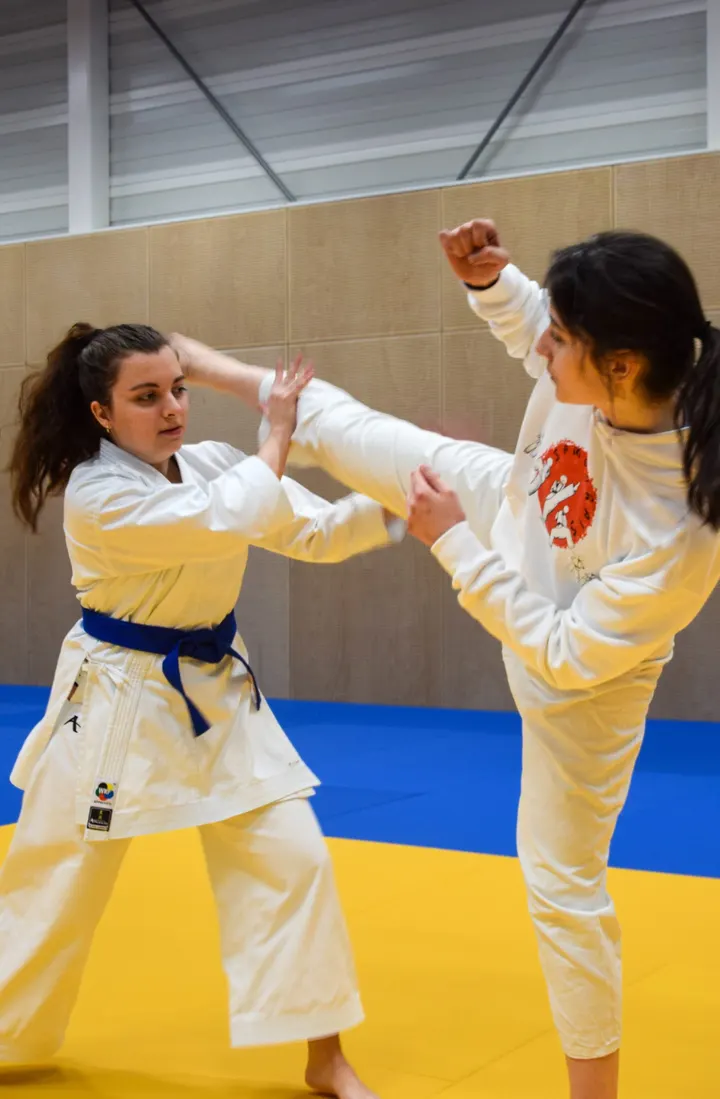 Eindhovense Studenten Budo Vereniging Samourais — vechtsport-studio in Centrum, Eindhoven — 2