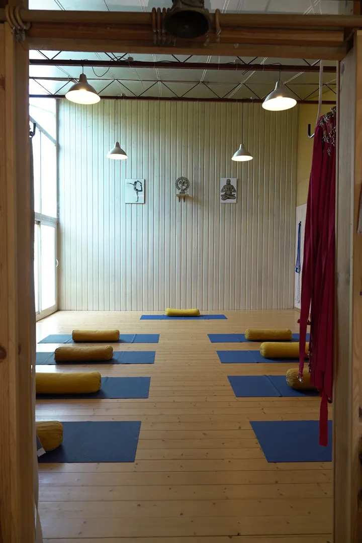 Centre de Yoga Iyengar de Bordeaux Chartons CYIB — yoga-studio à Chartrons - Grand Parc - Jardin Public, Bordeaux — 2