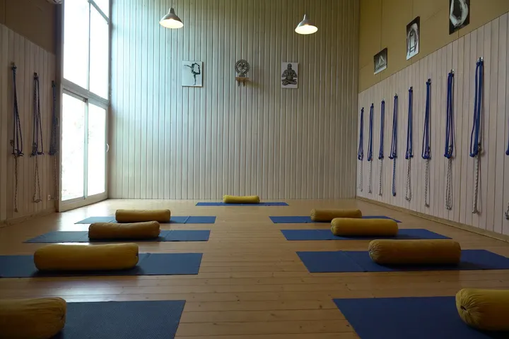 Centre de Yoga Iyengar de Bordeaux Chartons CYIB — yoga-studio à Chartrons - Grand Parc - Jardin Public, Bordeaux — 3