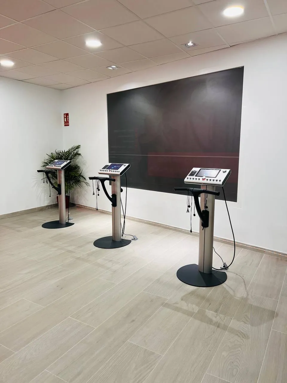 Iron Bodyfit Alhaurin de la torre — fuerza-studio en Los Tomillares, Alhaurín de la Torre — 2
