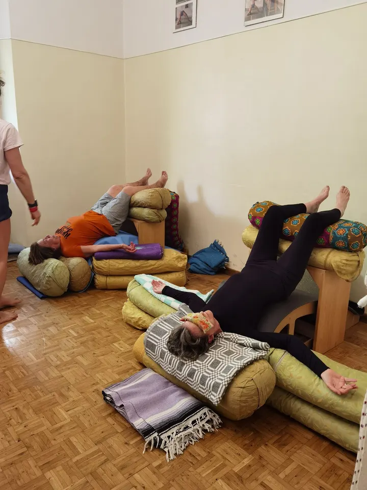Istituto Iyengar Yoga Firenze — yoga-studio a Campo di Marte, Firenze — 2