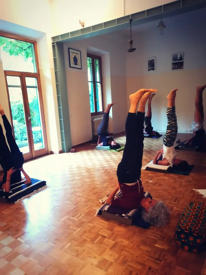 Istituto Iyengar Yoga Firenze — yoga-studio a Campo di Marte, Firenze — 3
