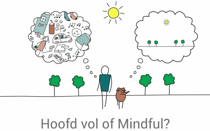 Body Mind Fysio Coaching — wellness-studio in Boomgaardshoek, Hoogvliet Rotterdam — 2