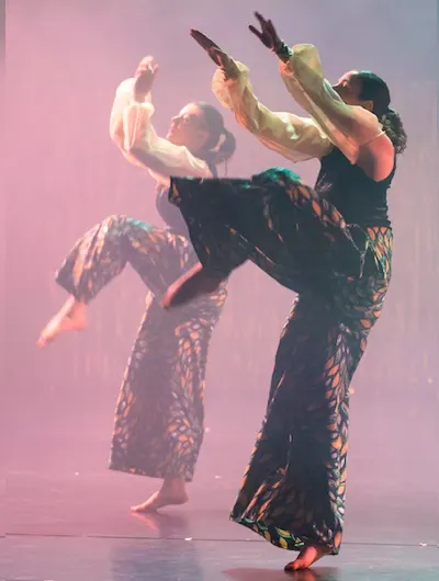 Dans & Balletstudio Geraldine — Dans in Graafsewijk-Noord, 's-Hertogenbosch