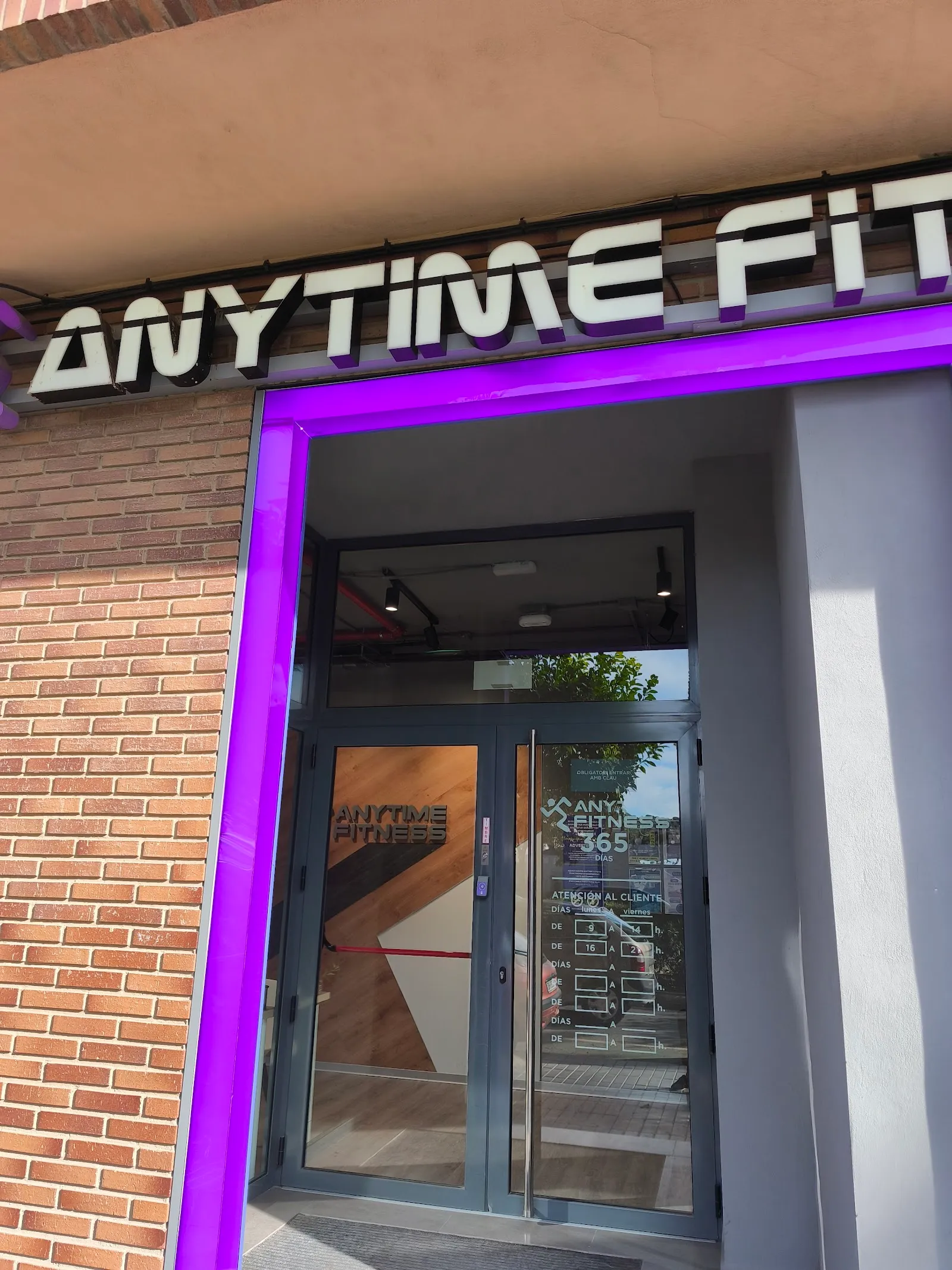 American Fitness — estudio de fitness-studio en Torrent — 3