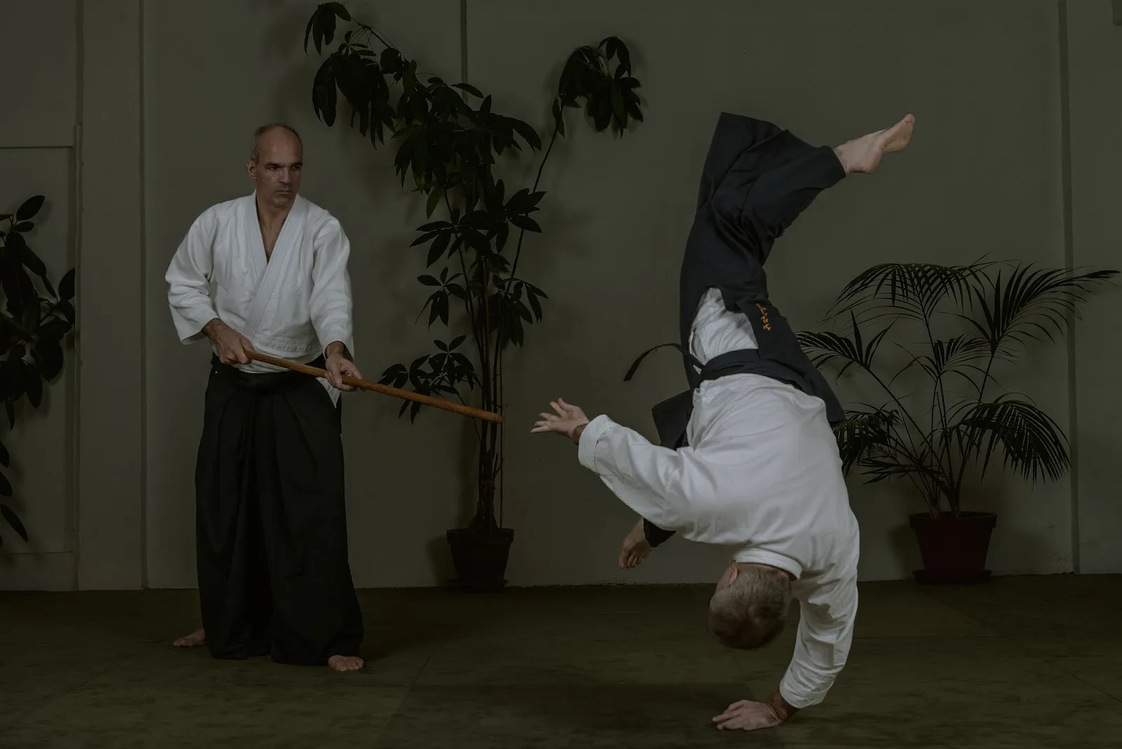 Aikido Kreis Ohayo e.V. — kampfsport-studio in Haidhausen, München — 2