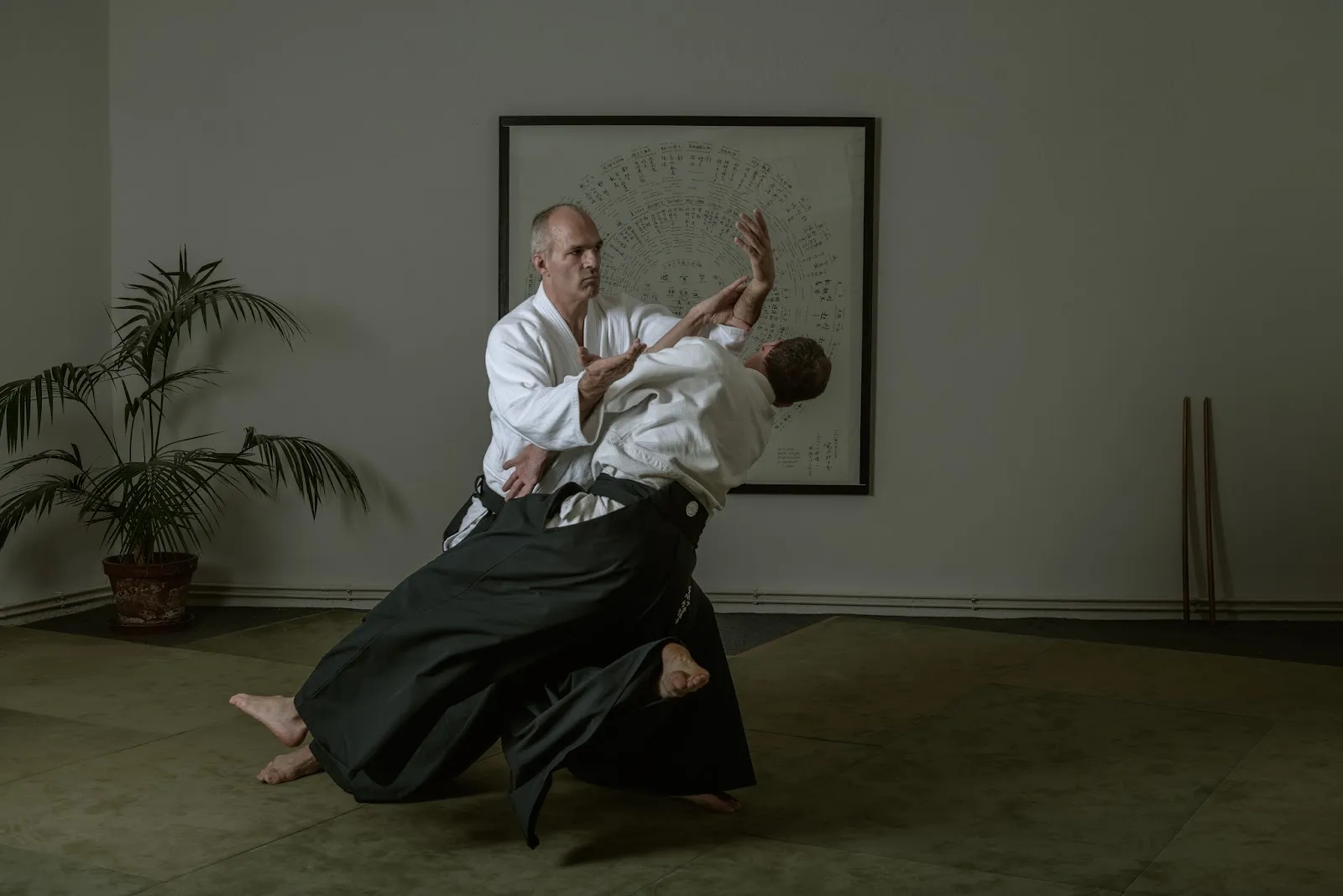 Aikido Kreis Ohayo e.V. — kampfsport-studio in Haidhausen, München — 3