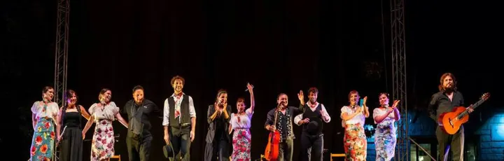 Triana Escuela de Danza — Dance en Europa, Fuenlabrada