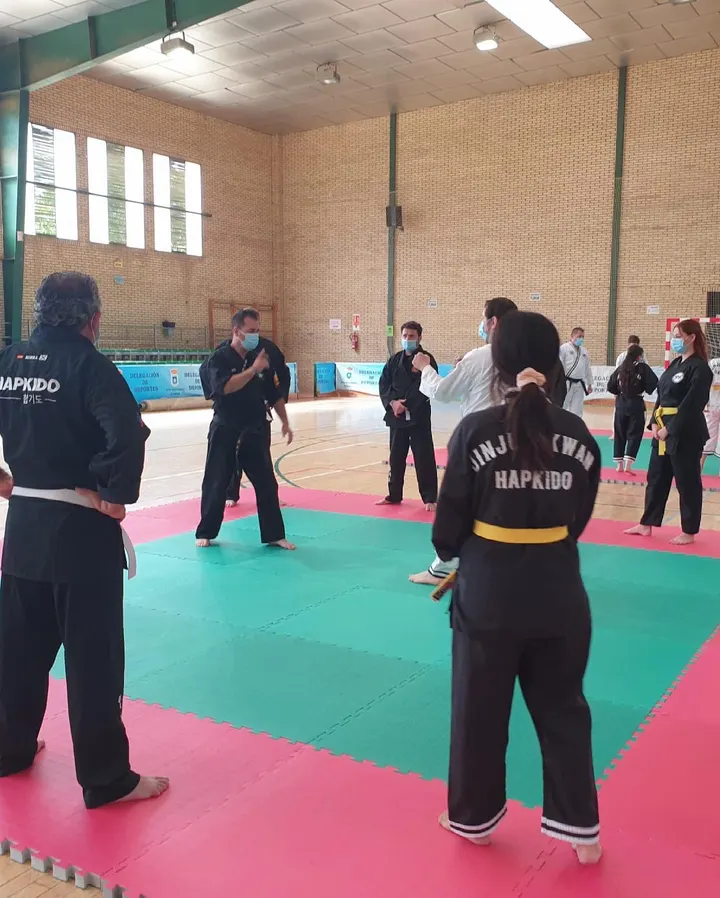Escuela de Artes Marciales Kukkiwon Doyang — artes marciales-studio en Sevilla — 3