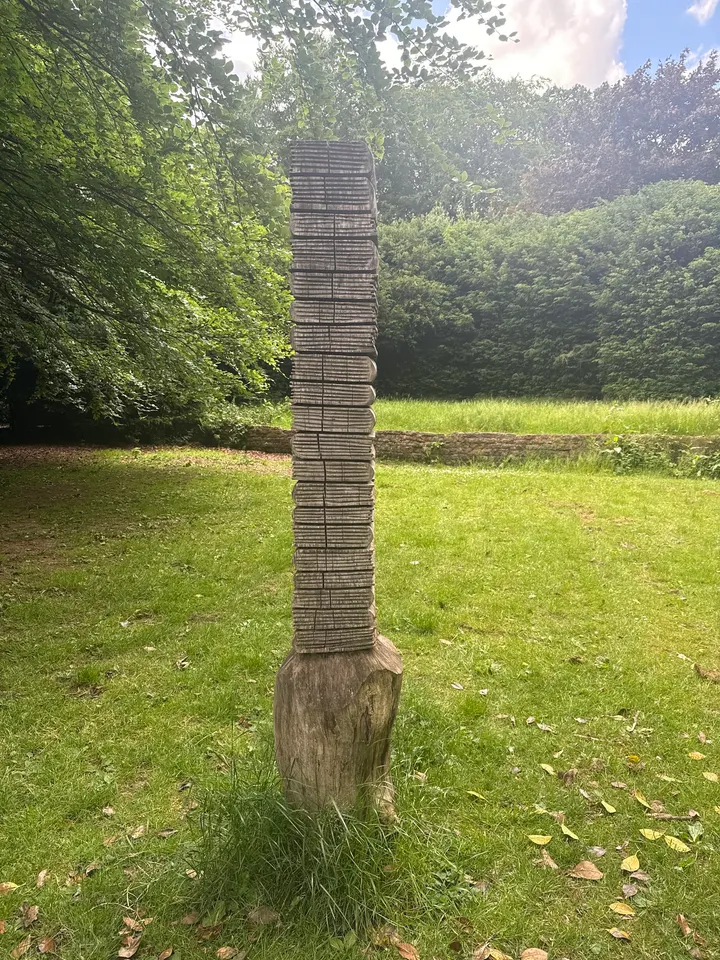 Woodthorpe Calisthenics Park — calisthenics-studio in Mapperley, Nottingham — 3