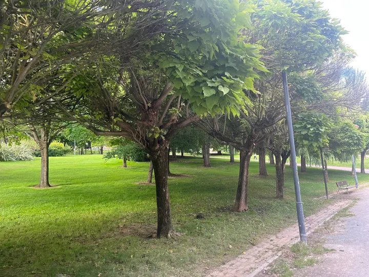 Parque de calistenia y street workout — estudio de fitness-studio en Las Norias, Logroño — 2