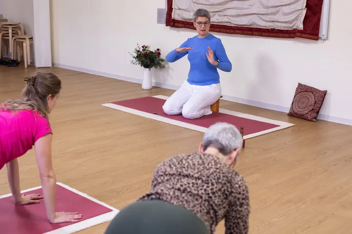 im fokus. Institut für und Psychotherapie — Yoga in Historische Innenstadt, Potsdam