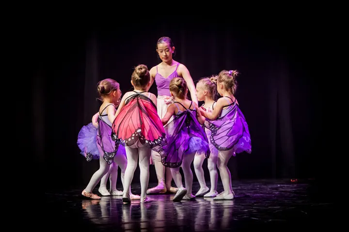 Norsk Ballettinstitutt Lillestrøm — dans-studio i Lillestrøm, Oslo — 3