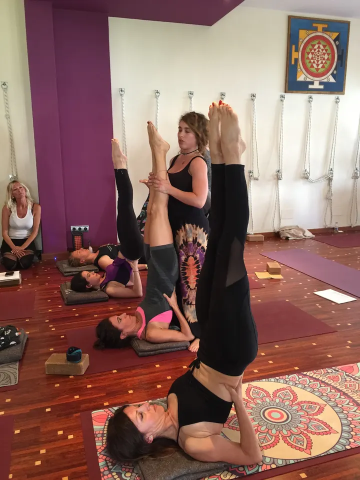 Yogashala Institute Marbella — Yoga en Miraflores, Marbella