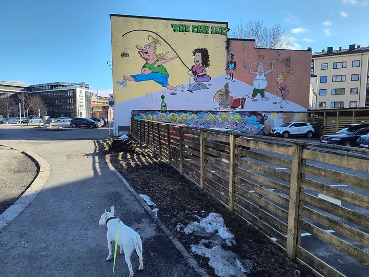 Drammen EasyLife Senter AS — Wellness i Strømsø, Drammen