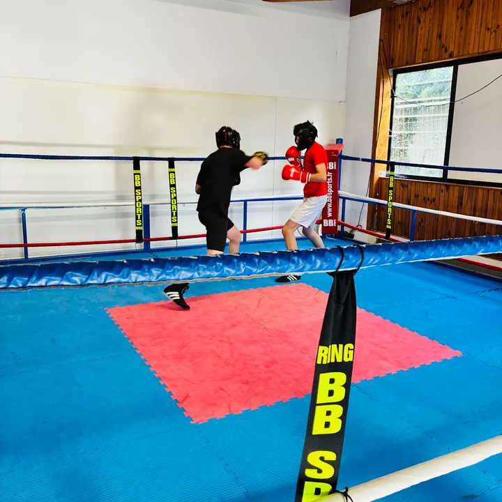 Boxing Club Angers Saint-Aubin — arts martiaux-studio aux Pannes, Angers — 2