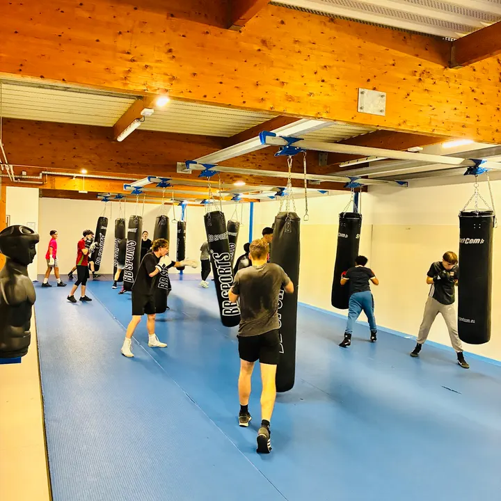 Boxing Club Angers Saint-Aubin — Arts martiaux à Les Pannes, Angers