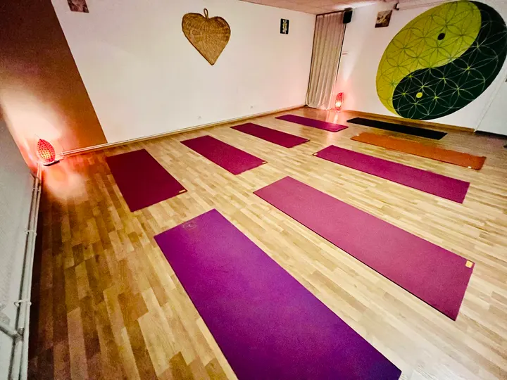 Stéphanie Pilates Grenoble — pilates-studio à Secteur 5, Grenoble — 2