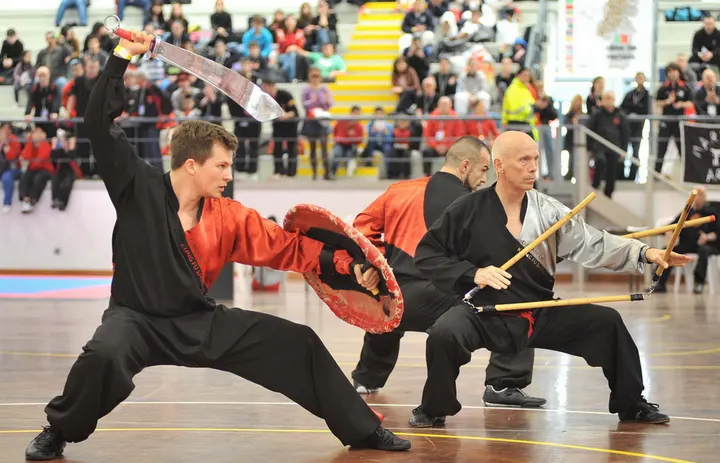 Dacascos Kung Fu u. Tai Chi, Inh — kampfsport-studio in Hamburg — 5