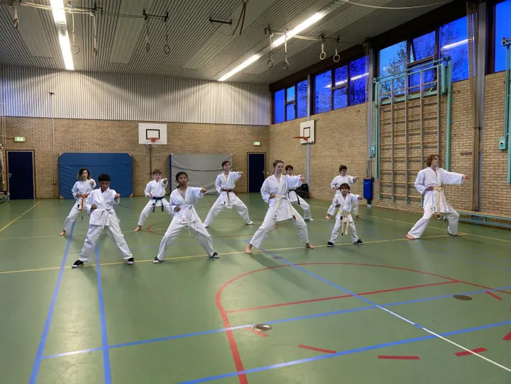 Shizentai Karate — vechtsport-studio in Bornholm, Hoofddorp — 2