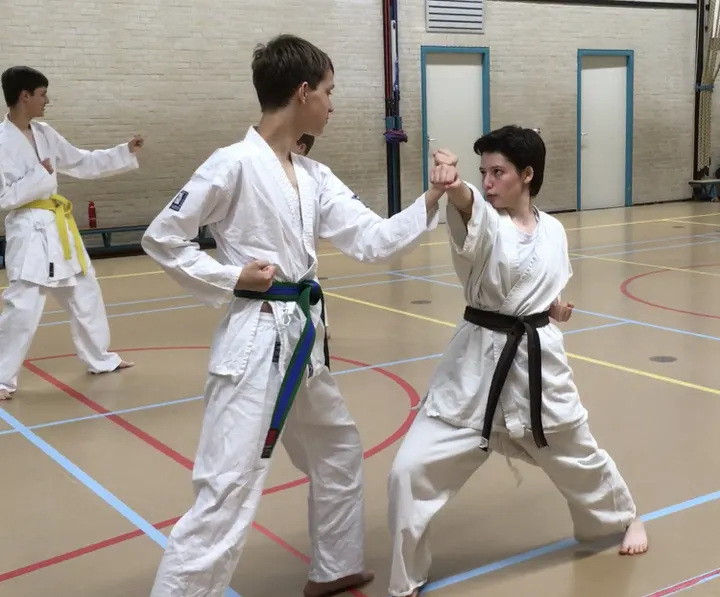 Shizentai Karate — Vechtsport in Bornholm, Hoofddorp